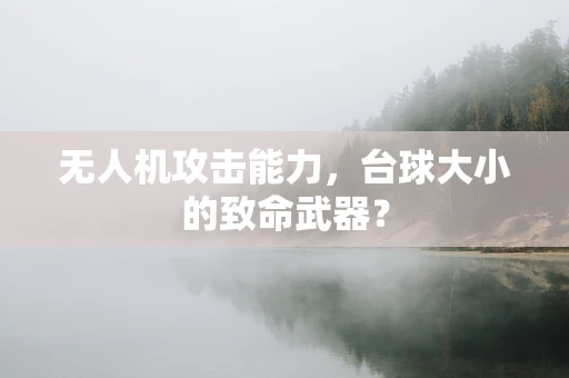无人机攻击能力，台球大小的致命武器？
