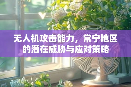 无人机攻击能力，常宁地区的潜在威胁与应对策略