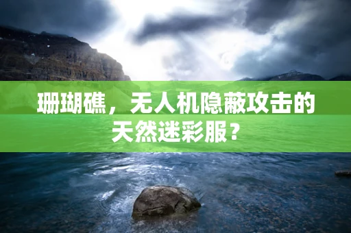 珊瑚礁，无人机隐蔽攻击的天然迷彩服？