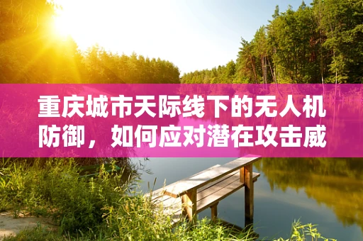 重庆城市天际线下的无人机防御，如何应对潜在攻击威胁？