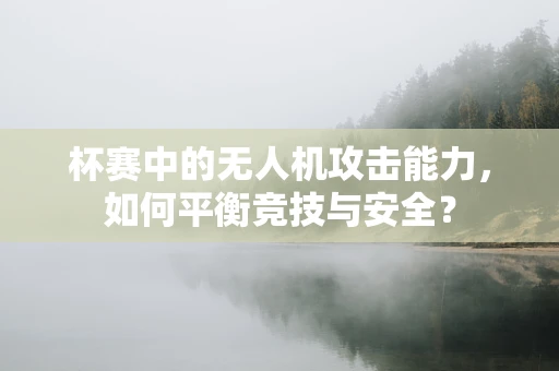 杯赛中的无人机攻击能力，如何平衡竞技与安全？