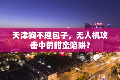 天津狗不理包子，无人机攻击中的甜蜜陷阱？