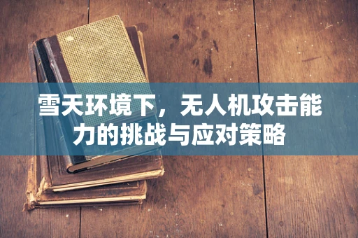 雪天环境下，无人机攻击能力的挑战与应对策略