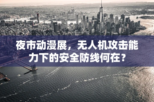 夜市动漫展，无人机攻击能力下的安全防线何在？