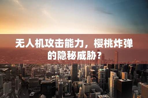 无人机攻击能力，樱桃炸弹的隐秘威胁？