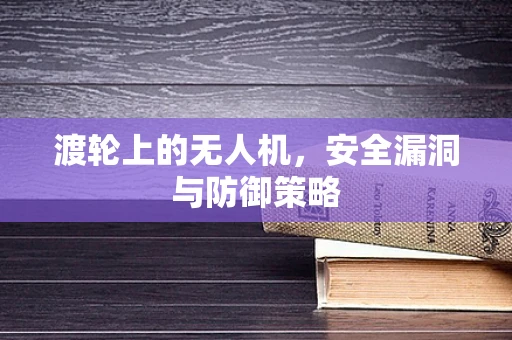 渡轮上的无人机，安全漏洞与防御策略