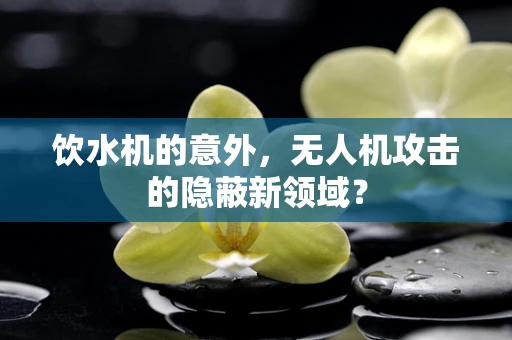 饮水机的意外，无人机攻击的隐蔽新领域？