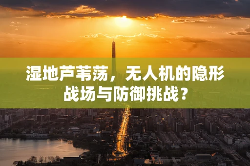 湿地芦苇荡，无人机的隐形战场与防御挑战？