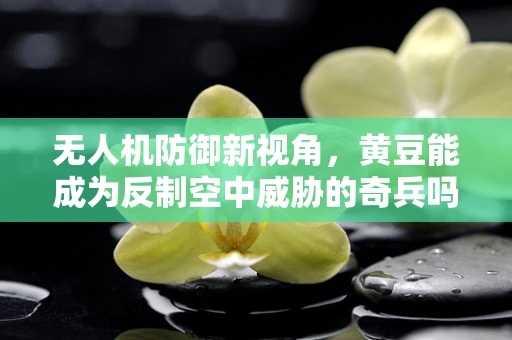 无人机防御新视角，黄豆能成为反制空中威胁的奇兵吗？