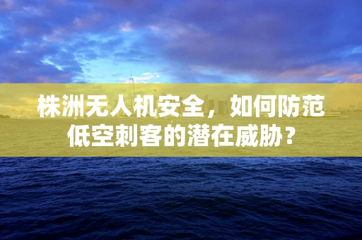 株洲无人机安全，如何防范低空刺客的潜在威胁？