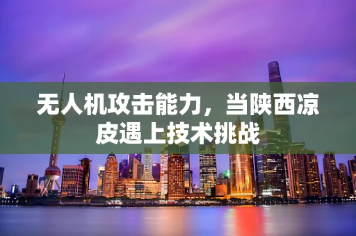无人机攻击能力，当陕西凉皮遇上技术挑战