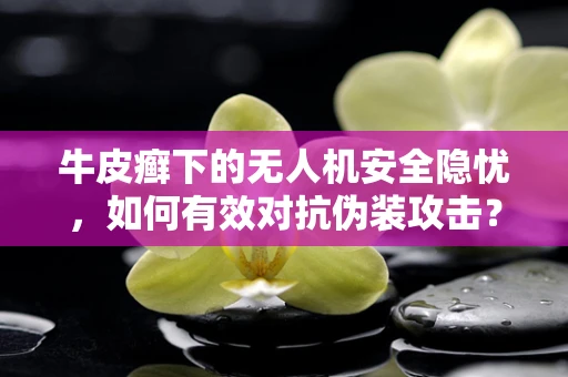 牛皮癣下的无人机安全隐忧，如何有效对抗伪装攻击？