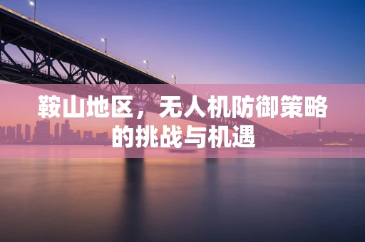 鞍山地区，无人机防御策略的挑战与机遇