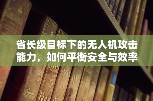 省长级目标下的无人机攻击能力，如何平衡安全与效率？