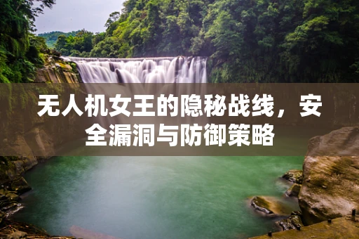 无人机女王的隐秘战线，安全漏洞与防御策略