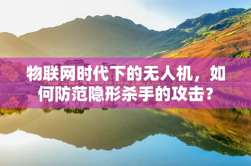 物联网时代下的无人机，如何防范隐形杀手的攻击？