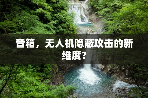 音箱，无人机隐蔽攻击的新维度？