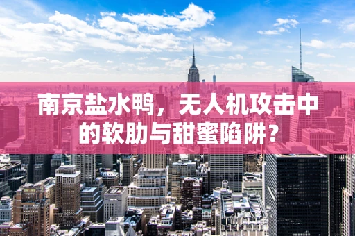 南京盐水鸭，无人机攻击中的软肋与甜蜜陷阱？