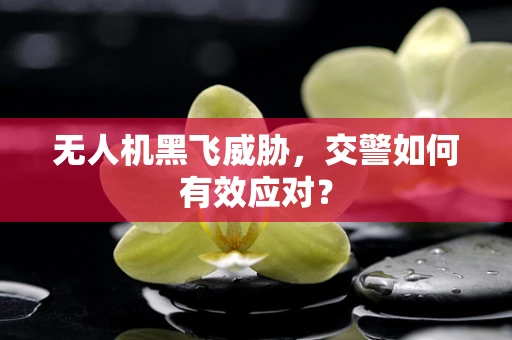 无人机黑飞威胁，交警如何有效应对？