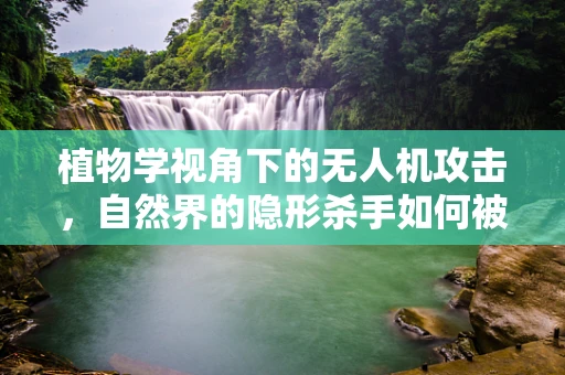 植物学视角下的无人机攻击，自然界的隐形杀手如何被利用？