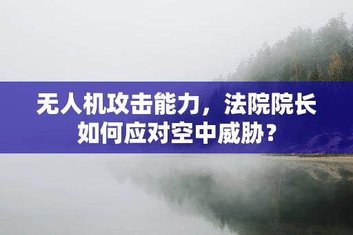 无人机攻击能力，法院院长如何应对空中威胁？