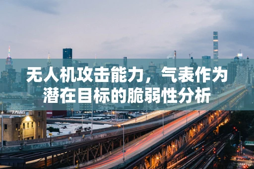 无人机攻击能力，气表作为潜在目标的脆弱性分析