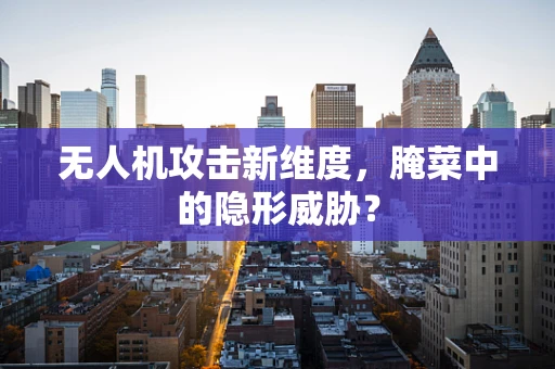 无人机攻击新维度，腌菜中的隐形威胁？