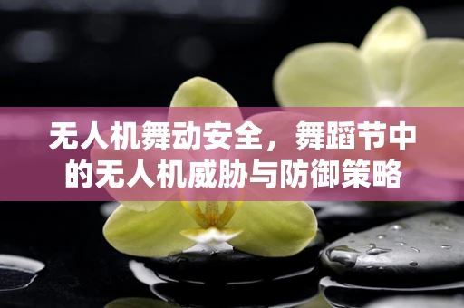 无人机舞动安全，舞蹈节中的无人机威胁与防御策略