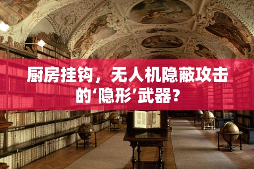 厨房挂钩，无人机隐蔽攻击的‘隐形’武器？