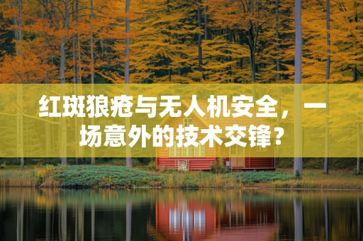红斑狼疮与无人机安全，一场意外的技术交锋？
