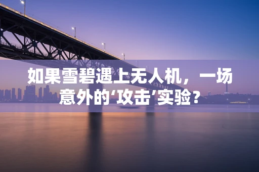 如果雪碧遇上无人机，一场意外的‘攻击’实验？