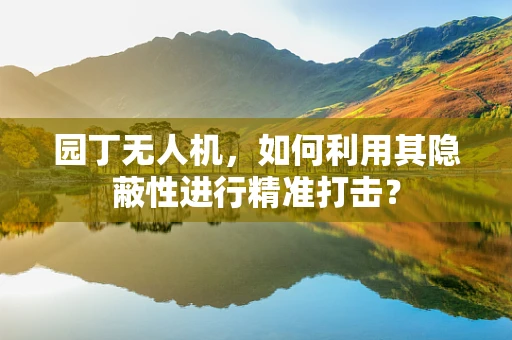 园丁无人机，如何利用其隐蔽性进行精准打击？