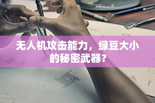 无人机攻击能力，绿豆大小的秘密武器？