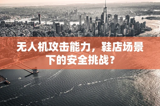 无人机攻击能力，鞋店场景下的安全挑战？
