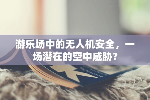 游乐场中的无人机安全，一场潜在的空中威胁？
