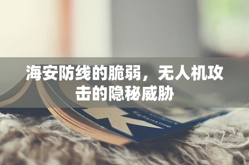 海安防线的脆弱，无人机攻击的隐秘威胁