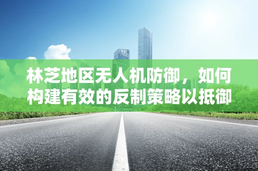 林芝地区无人机防御，如何构建有效的反制策略以抵御潜在攻击？