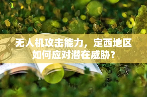 无人机攻击能力，定西地区如何应对潜在威胁？