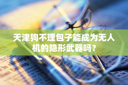 天津狗不理包子能成为无人机的隐形武器吗？