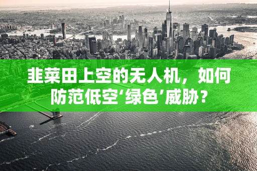 韭菜田上空的无人机，如何防范低空‘绿色’威胁？