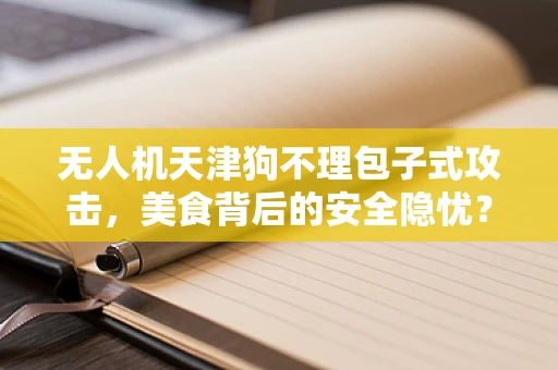 无人机天津狗不理包子式攻击，美食背后的安全隐忧？