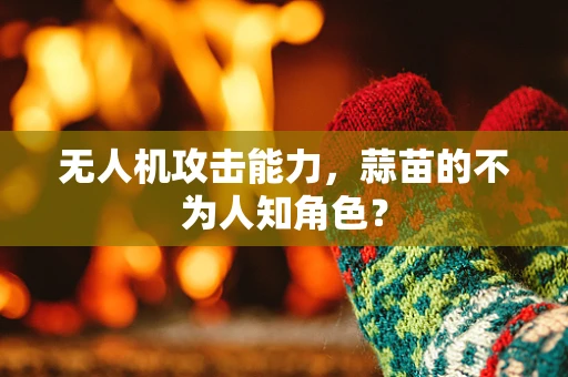 无人机攻击能力，蒜苗的不为人知角色？
