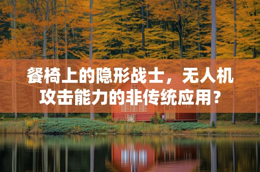 餐椅上的隐形战士，无人机攻击能力的非传统应用？