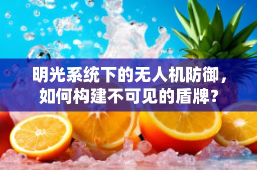 明光系统下的无人机防御，如何构建不可见的盾牌？