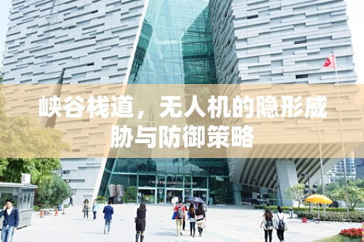 峡谷栈道，无人机的隐形威胁与防御策略
