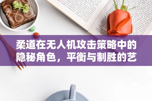 柔道在无人机攻击策略中的隐秘角色，平衡与制胜的艺术