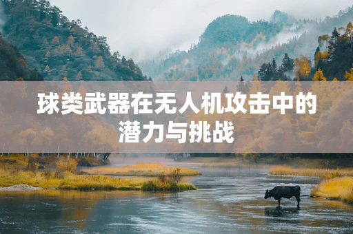 球类武器在无人机攻击中的潜力与挑战