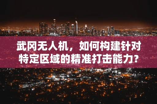 武冈无人机，如何构建针对特定区域的精准打击能力？