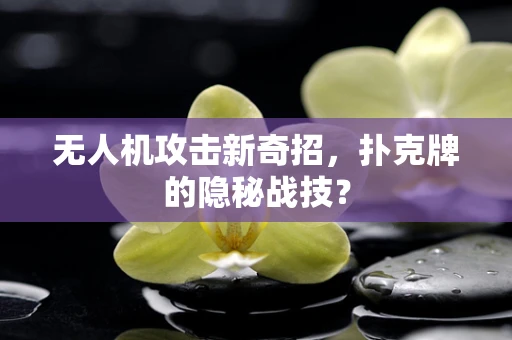 无人机攻击新奇招，扑克牌的隐秘战技？