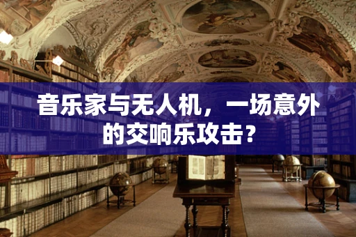 音乐家与无人机，一场意外的交响乐攻击？